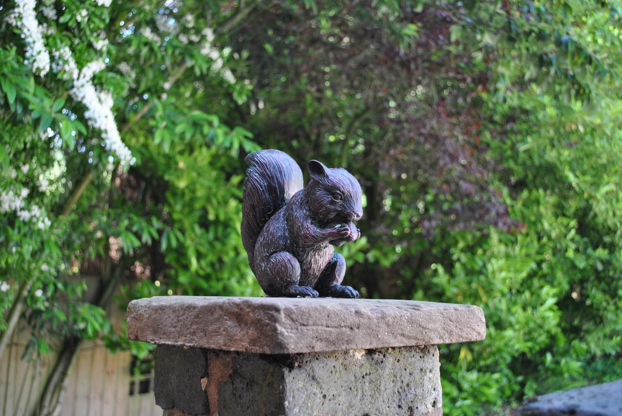 Squirrel Barn Vila Milwich Exterior foto